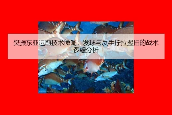 fan-zhen-dong-ya-yun-qian-ji-shu-wei-diao-fa-qiu-yu-fan-shou-ning-la-wo-pai-de-zhan-shu-luo-ji-fen-xi-2-358.jpg